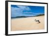 Papohaku Beach, Island of Molokai, Hawaii, United States of America, Pacific-Michael Runkel-Framed Photographic Print