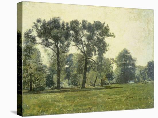 Pappeln bei Goethes Gartenhaus im Schlosspark von Weimar. Um 1885-Christian Rohlfs-Stretched Canvas