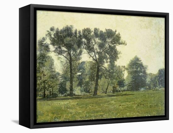 Pappeln bei Goethes Gartenhaus im Schlosspark von Weimar. Um 1885-Christian Rohlfs-Framed Stretched Canvas