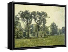 Pappeln bei Goethes Gartenhaus im Schlosspark von Weimar. Um 1885-Christian Rohlfs-Framed Stretched Canvas