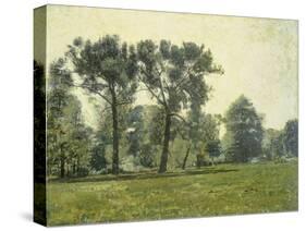 Pappeln bei Goethes Gartenhaus im Schlosspark von Weimar. Um 1885-Christian Rohlfs-Stretched Canvas