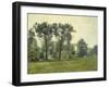 Pappeln bei Goethes Gartenhaus im Schlosspark von Weimar. Um 1885-Christian Rohlfs-Framed Giclee Print