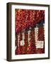 Paprika and Garlic, Central Market (Kozponti Vasarcsarnok), Budapest, Hungary, Europe-Stuart Black-Framed Photographic Print