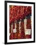 Paprika and Garlic, Central Market (Kozponti Vasarcsarnok), Budapest, Hungary, Europe-Stuart Black-Framed Photographic Print