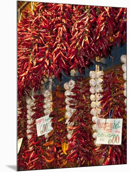 Paprika and Garlic, Central Market (Kozponti Vasarcsarnok), Budapest, Hungary, Europe-Stuart Black-Mounted Photographic Print