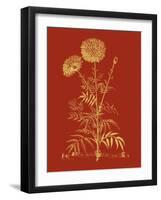 Paprika Bouquet I-Vision Studio-Framed Art Print