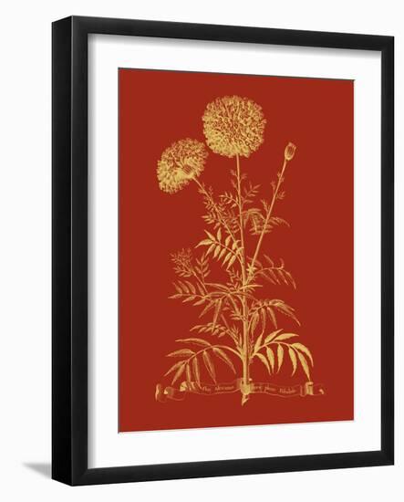 Paprika Bouquet I-Vision Studio-Framed Art Print