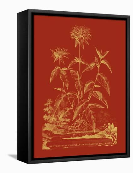 Paprika Bouquet II-Vision Studio-Framed Stretched Canvas