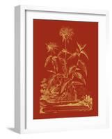 Paprika Bouquet II-Vision Studio-Framed Art Print