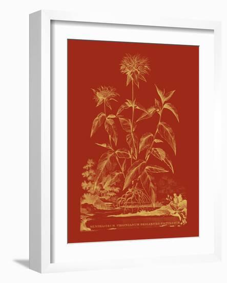 Paprika Bouquet II-Vision Studio-Framed Art Print