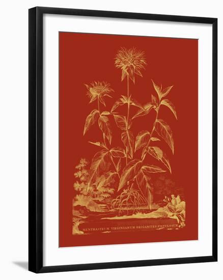 Paprika Bouquet II-Vision Studio-Framed Art Print