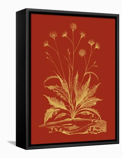 Paprika Bouquet III-Vision Studio-Framed Stretched Canvas