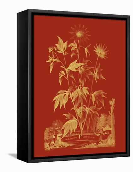 Paprika Bouquet IV-Vision Studio-Framed Stretched Canvas