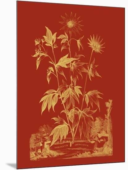 Paprika Bouquet IV-Vision Studio-Mounted Art Print