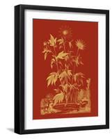 Paprika Bouquet IV-Vision Studio-Framed Art Print