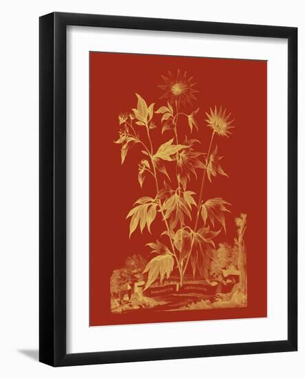 Paprika Bouquet IV-Vision Studio-Framed Art Print