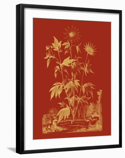 Paprika Bouquet IV-Vision Studio-Framed Art Print