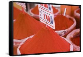 Paprika for Sale, Mercado Central (Central Market), Valencia-Martin Child-Framed Stretched Canvas