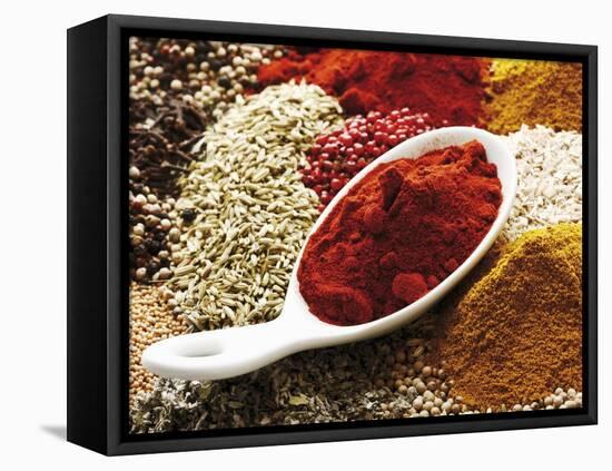 Paprika Powder in Porcelain Spoon on Assorted Spices-Dieter Heinemann-Framed Stretched Canvas