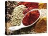 Paprika Powder in Porcelain Spoon on Assorted Spices-Dieter Heinemann-Stretched Canvas