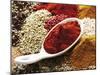 Paprika Powder in Porcelain Spoon on Assorted Spices-Dieter Heinemann-Mounted Photographic Print