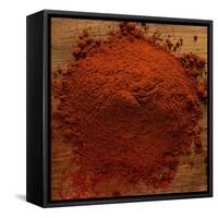 Paprika-Steve Gadomski-Framed Stretched Canvas