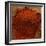 Paprika-Steve Gadomski-Framed Photographic Print