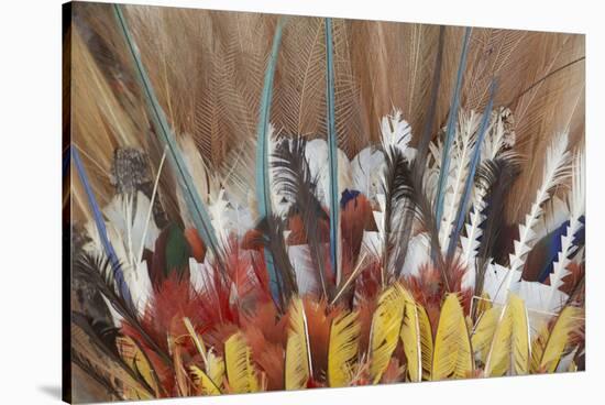 Papua New Guinea, Tufi. Detail of Feather Ceremonial Headdress-Cindy Miller Hopkins-Stretched Canvas