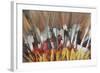 Papua New Guinea, Tufi. Detail of Feather Ceremonial Headdress-Cindy Miller Hopkins-Framed Photographic Print