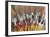 Papua New Guinea, Tufi. Detail of Feather Ceremonial Headdress-Cindy Miller Hopkins-Framed Photographic Print