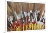 Papua New Guinea, Tufi. Detail of Feather Ceremonial Headdress-Cindy Miller Hopkins-Framed Premium Photographic Print