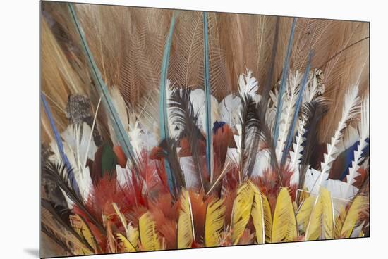 Papua New Guinea, Tufi. Detail of Feather Ceremonial Headdress-Cindy Miller Hopkins-Mounted Premium Photographic Print