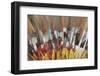 Papua New Guinea, Tufi. Detail of Feather Ceremonial Headdress-Cindy Miller Hopkins-Framed Photographic Print