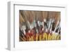 Papua New Guinea, Tufi. Detail of Feather Ceremonial Headdress-Cindy Miller Hopkins-Framed Photographic Print