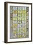 Papuan Butterflies 1, 1917-18-Marian Ellis Rowan-Framed Giclee Print