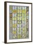 Papuan Butterflies 1, 1917-18-Marian Ellis Rowan-Framed Giclee Print