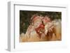 Papuan Scorpionfish-Hal Beral-Framed Photographic Print