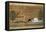 Papyrus of Scene of Worship of the Crocodile God Sobek-null-Framed Stretched Canvas