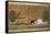 Papyrus of Scene of Worship of the Crocodile God Sobek-null-Framed Stretched Canvas