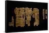 Papyrus Telling Story of Pharaoh Thutmose III, Ramesside Period-null-Framed Stretched Canvas