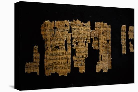 Papyrus Telling Story of Pharaoh Thutmose III, Ramesside Period-null-Stretched Canvas