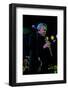 Paquito D'Rivera, Brecon Jazz Festival, Brecon, Wales, 12 August, 2005-Brian O'Connor-Framed Photographic Print