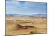 Paracas National Reserve, Ica Region, Peru, South America-Karol Kozlowski-Mounted Photographic Print