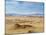 Paracas National Reserve, Ica Region, Peru, South America-Karol Kozlowski-Mounted Photographic Print