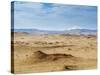 Paracas National Reserve, Ica Region, Peru, South America-Karol Kozlowski-Stretched Canvas