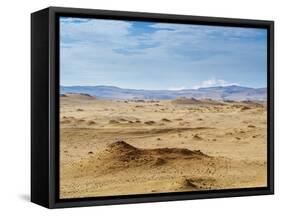 Paracas National Reserve, Ica Region, Peru, South America-Karol Kozlowski-Framed Stretched Canvas