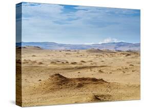 Paracas National Reserve, Ica Region, Peru, South America-Karol Kozlowski-Stretched Canvas