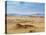 Paracas National Reserve, Ica Region, Peru, South America-Karol Kozlowski-Stretched Canvas