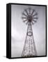 Parachute Jump Tower, Coney Island, Brooklyn, New York, USA-Walter Bibikow-Framed Stretched Canvas