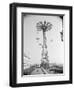 Parachute Ride at Coney Island-null-Framed Photographic Print